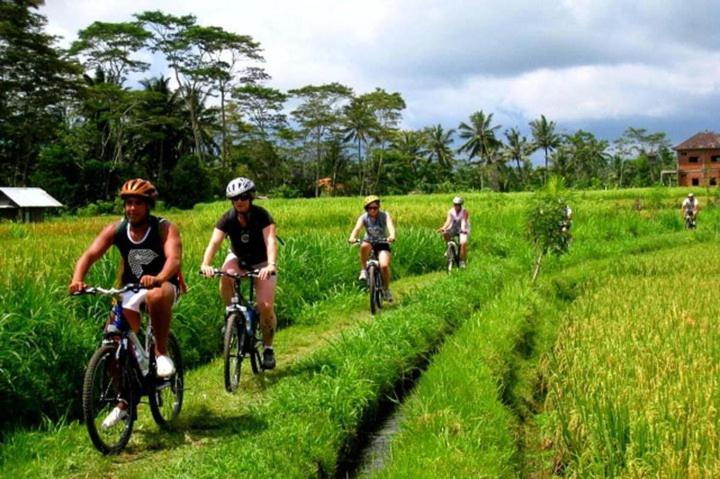 Nobody Inn Bali At Arya Guest House Ubud Buitenkant foto